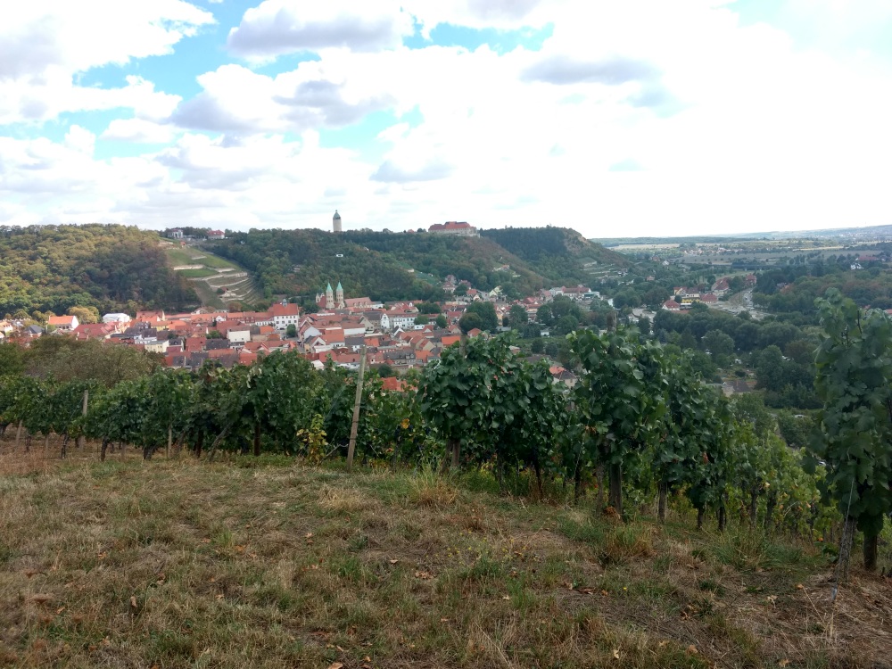 Freyburg-Schweigenberg-Saale-Unstrut-Wein-Shop