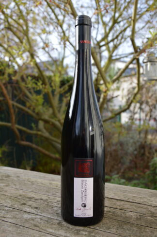 Gussek Blauer Zweigelt Kaatschener Dachsberg 2022