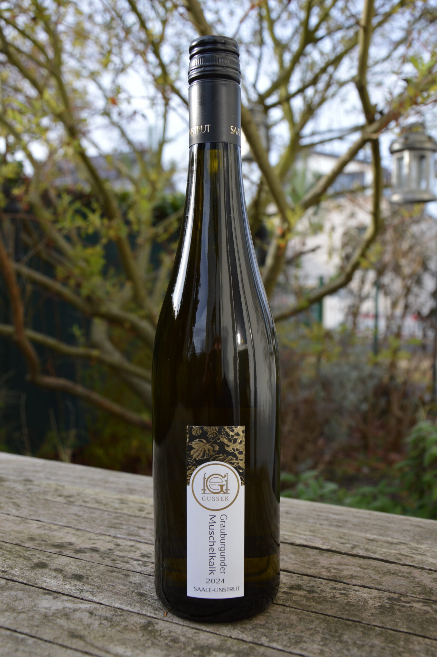 Gussek Grauburgunder Muschelkalk 2023