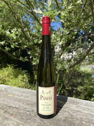 Pawis Riesling R736 2024