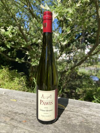 Pawis Grüner Silvaner 2025